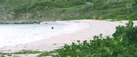 Grandes Cayes