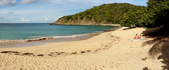 Happy Bay