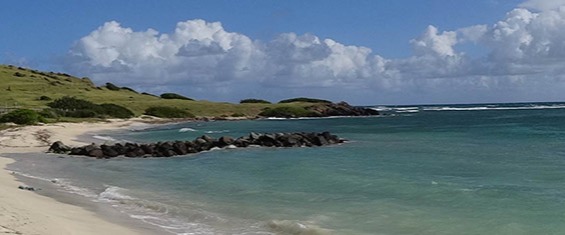 Lucas bay