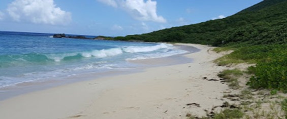Petite Cayes