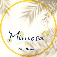 Mimosa Skylounge — best for a rooftop with 180-degree views