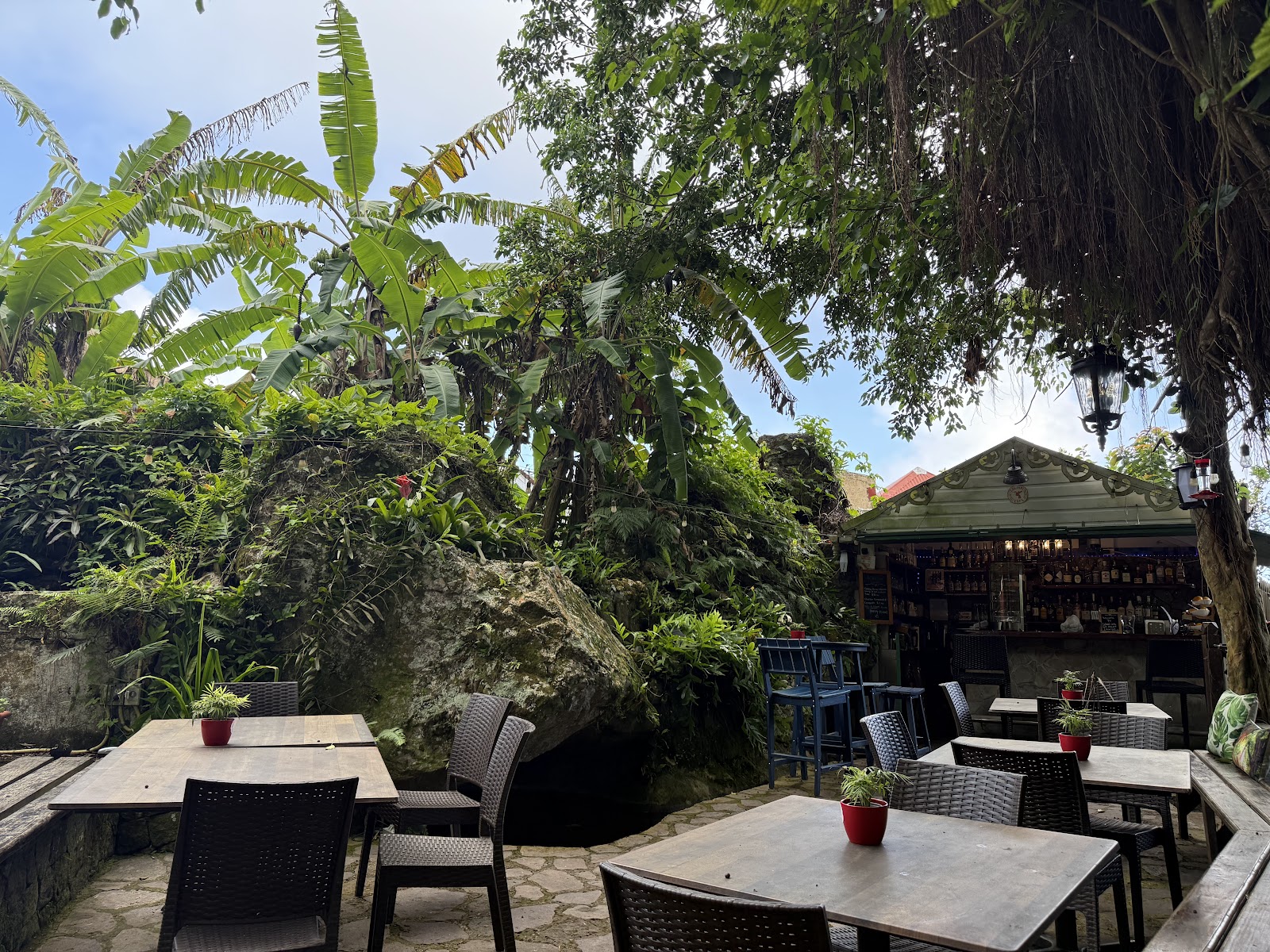 Colibri cafe