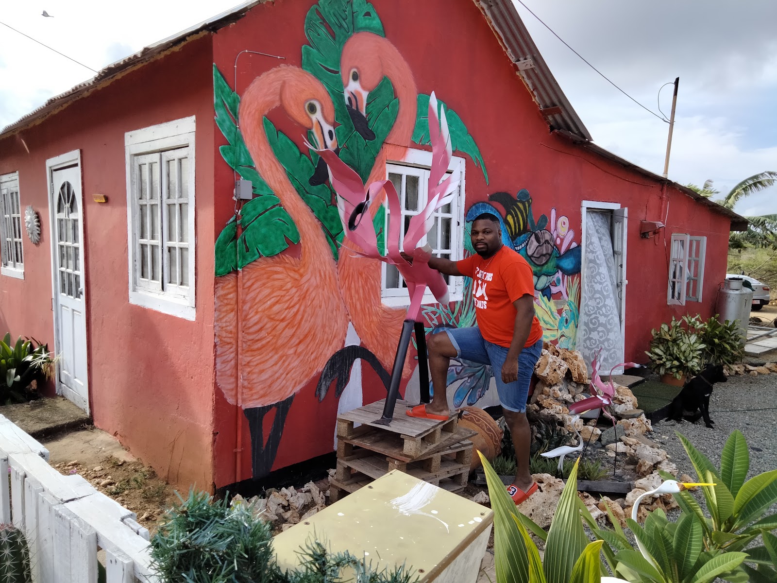 Aruflamingo Art Café